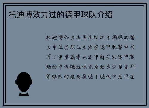 托迪博效力过的德甲球队介绍