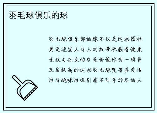 羽毛球俱乐的球