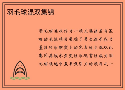 羽毛球混双集锦